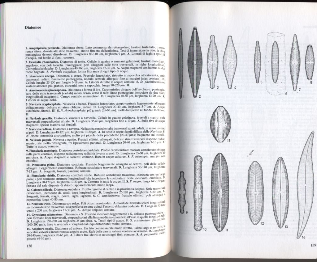 almicrolib11b
