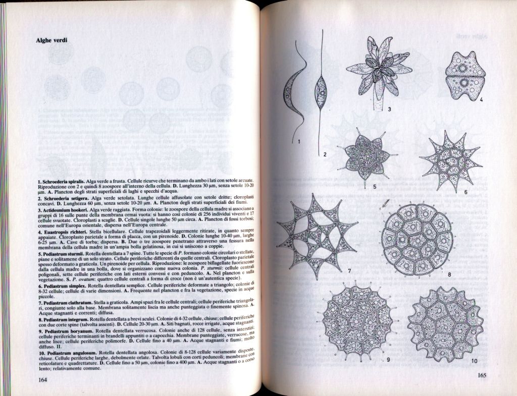 almicrolib11c