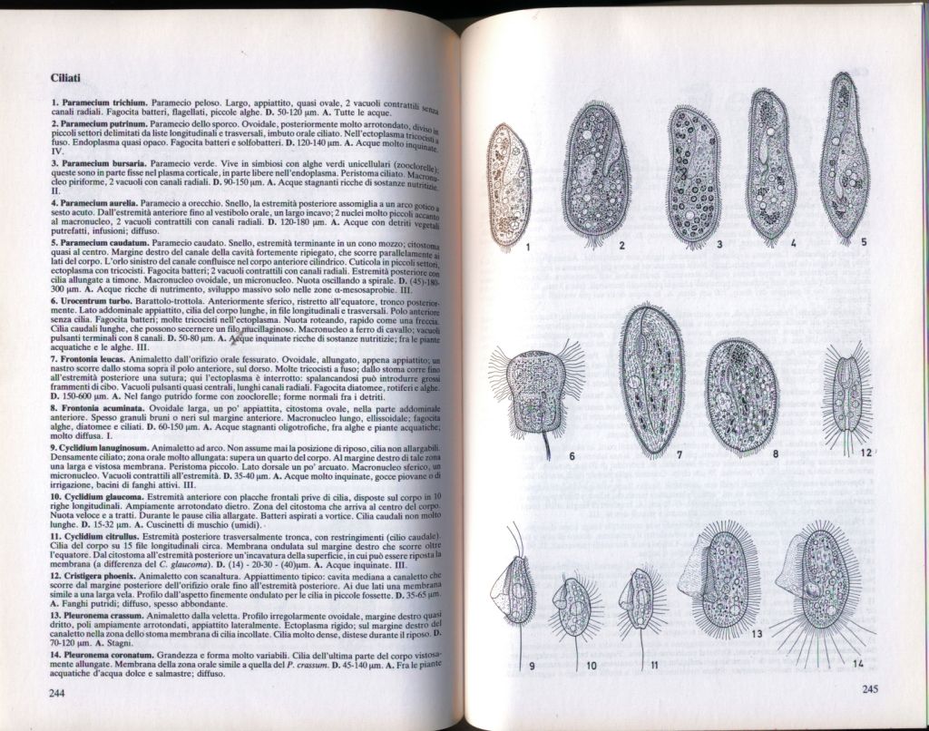 almicrolib11d