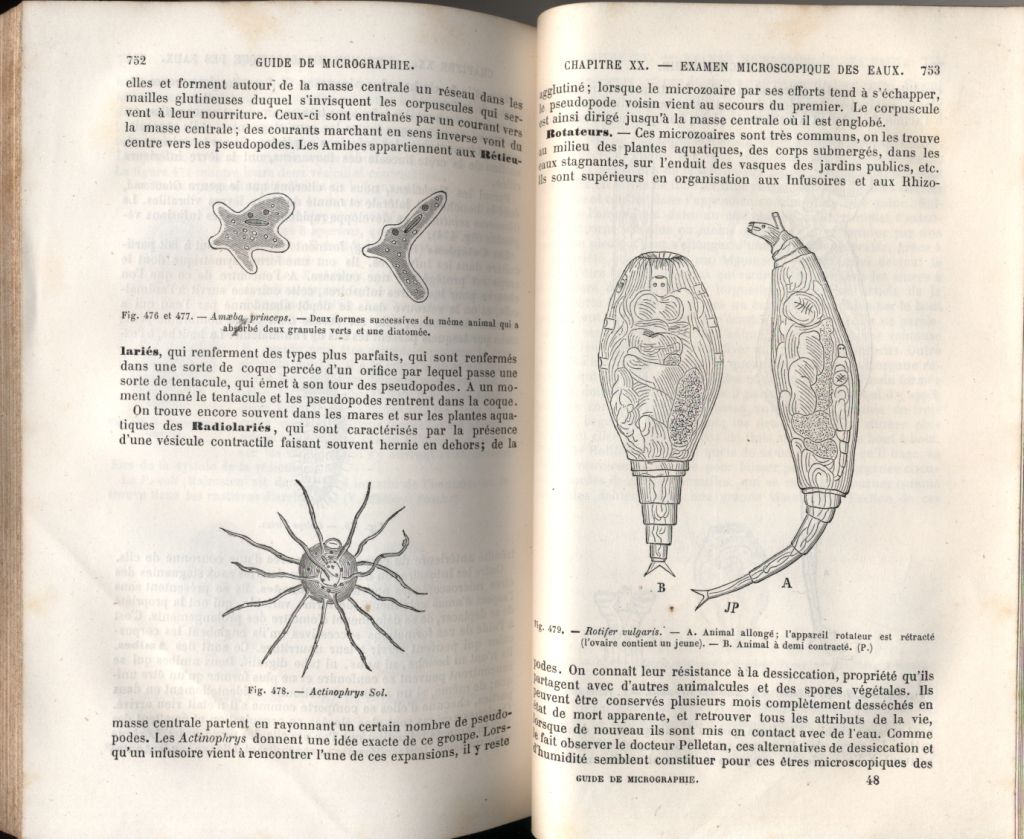 almicrolib15b