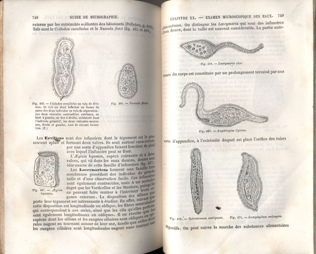 almicrolib15c
