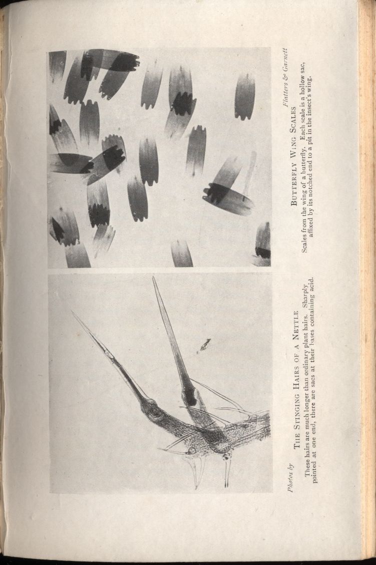 almicrolib16c