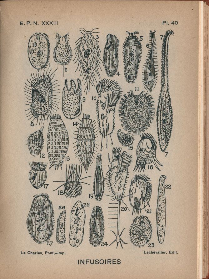 almicrolib25b